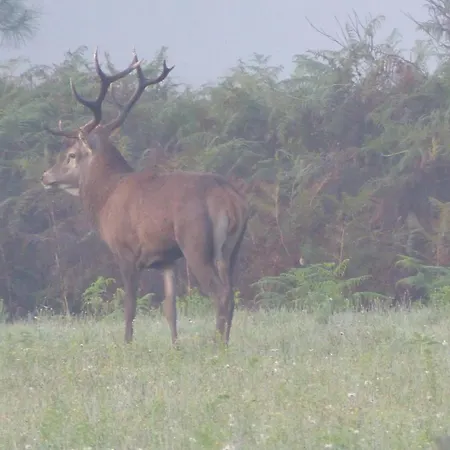 Prázdninový dům Nature *